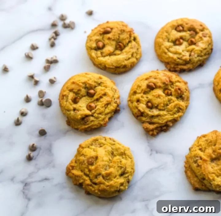 A bowl filled with all the dry ingredients for chewy cinnamon chip pumpkin cookies, ready for mixing.