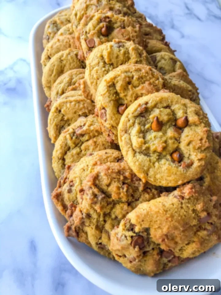 A close-up of a chewy cinnamon chip pumpkin cookie, perfect for pinning on Pinterest.