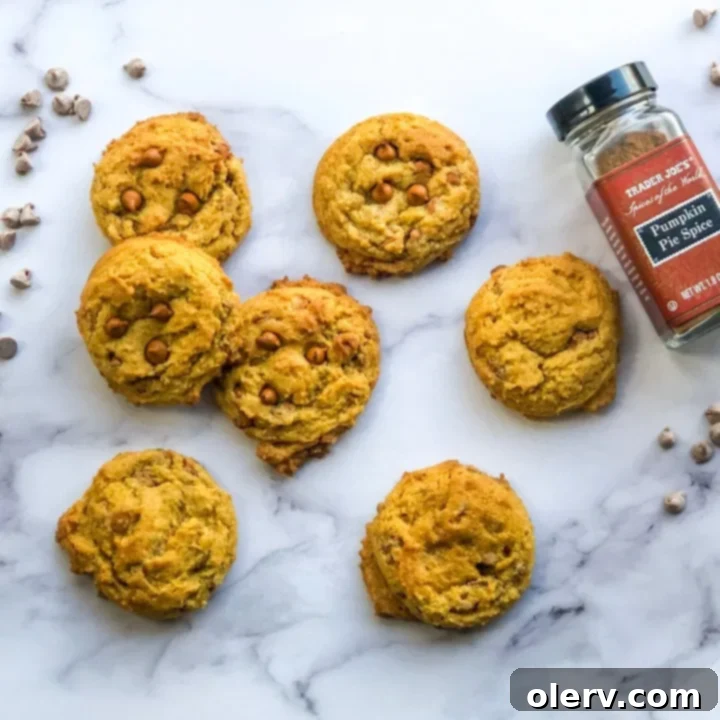 Chewy Cinnamon Chip Pumpkin Cookies