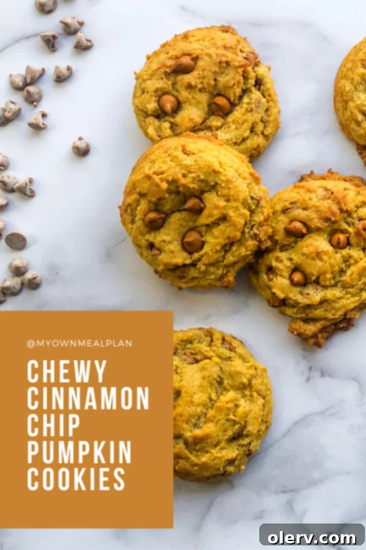Chewy Cinnamon Chip Pumpkin Cookies ready to serve, perfect for a fall dessert.