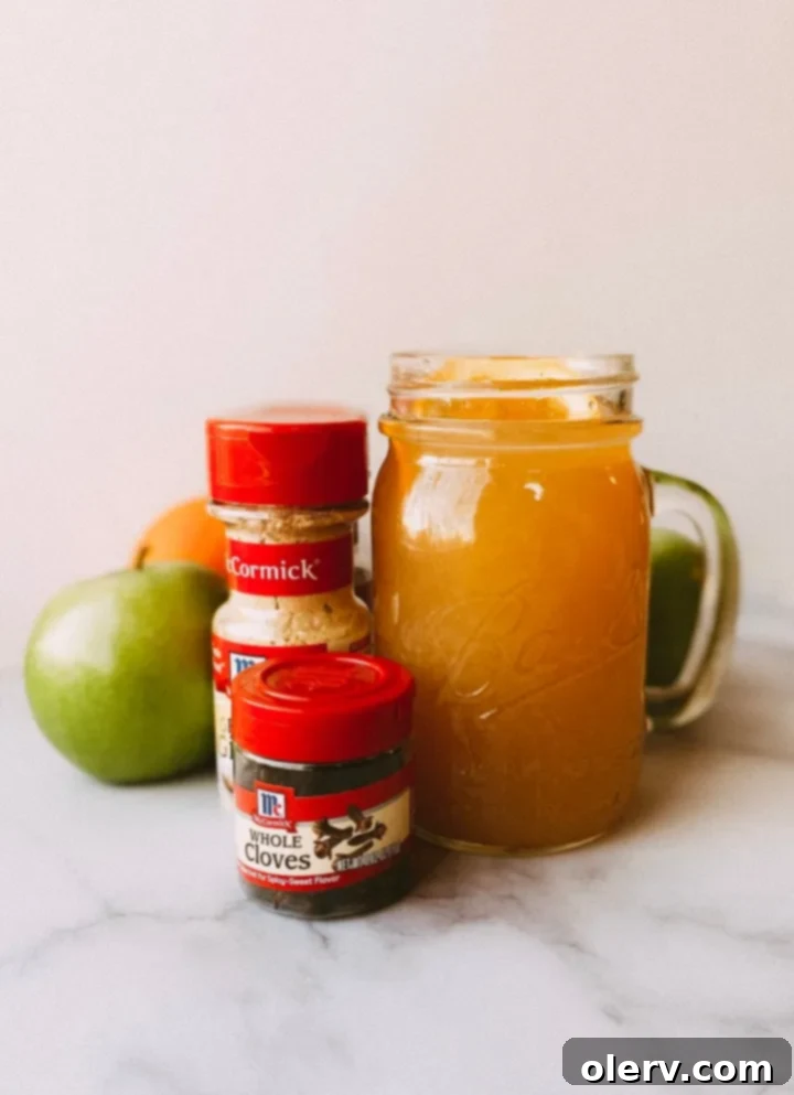 Instant Pot Holiday Magic 15 A mug of hot homemade apple cider with a cinnamon stick garnish.