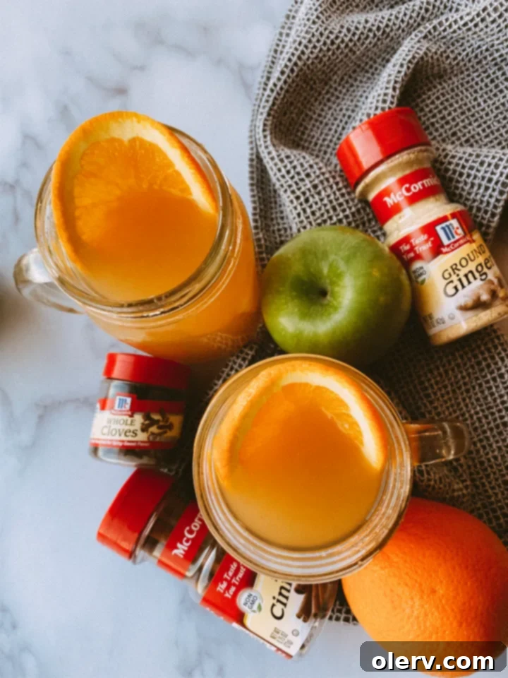Instant Pot Holiday Magic 16 Warm homemade apple cider garnished with cinnamon and orange.