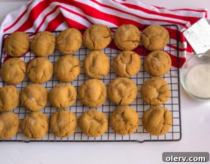 Perfectly Soft and Chewy Gingersnaps 3 Soft & Chewy Gingersnap Cookies ready to bake