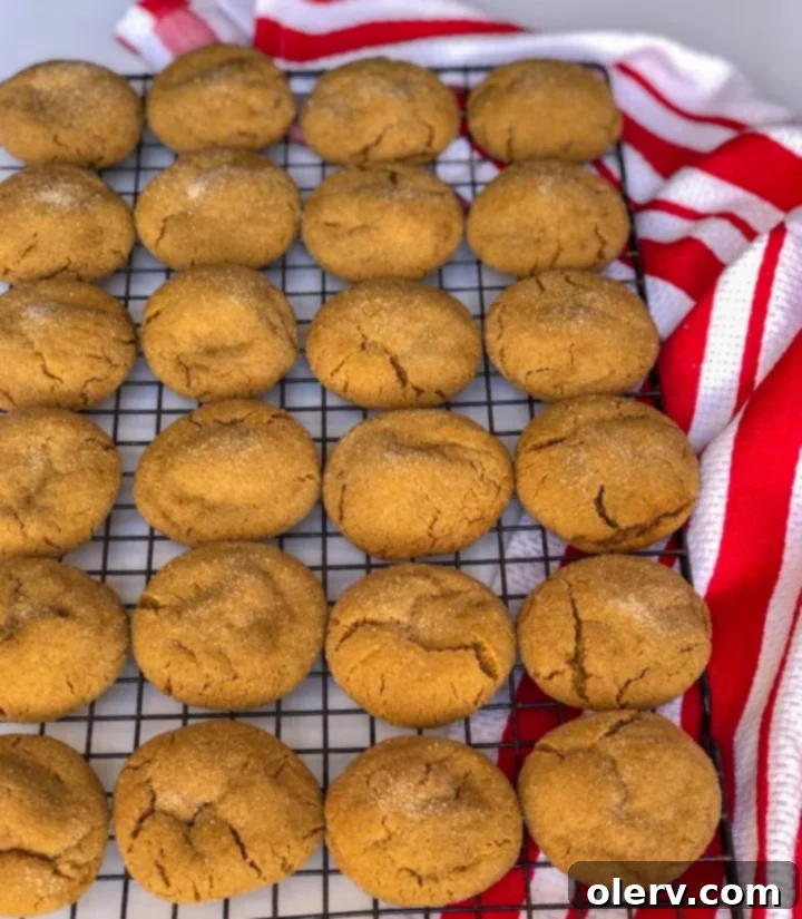 Perfectly Soft and Chewy Gingersnaps 4 A plate of freshly baked Soft & Chewy Gingersnap Cookies