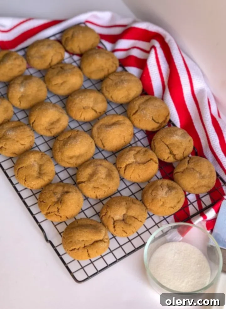 Perfectly Soft and Chewy Gingersnaps 5 White chocolate dipped Soft & Chewy Gingersnap Cookies