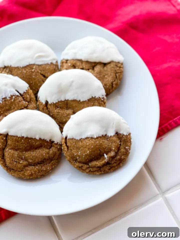 Perfectly Soft and Chewy Gingersnaps 6 Close-up of a white chocolate dipped gingersnap cookie