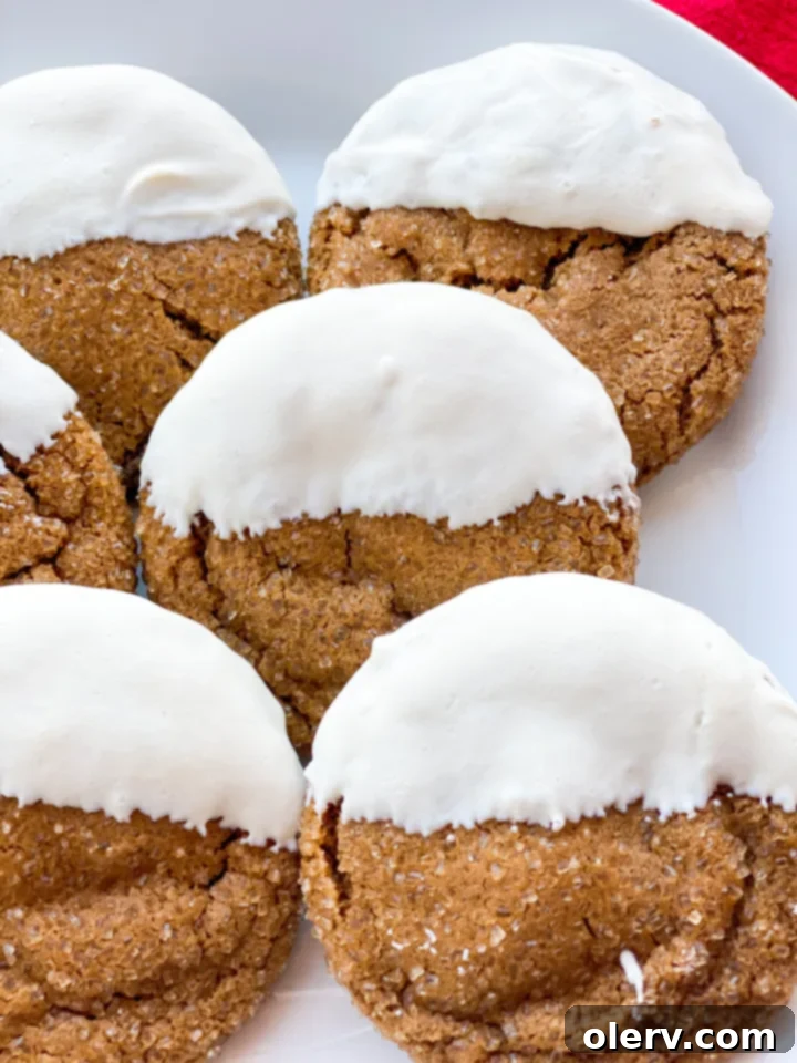 Perfectly Soft and Chewy Gingersnaps 8 Close-up of gingersnap dough rolled in sugar in the raw
