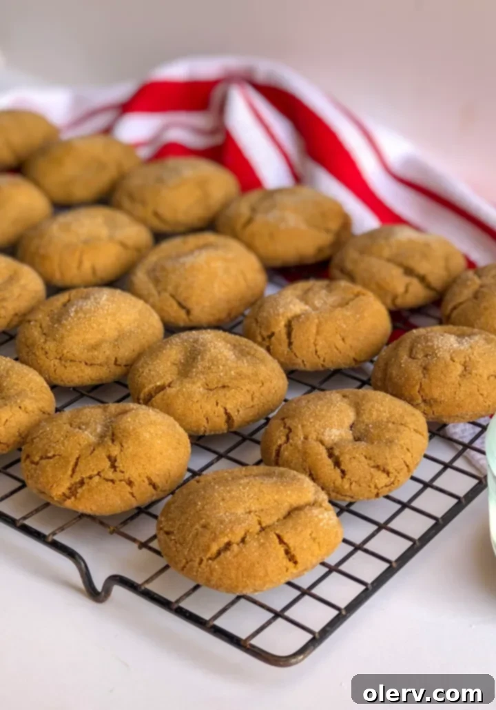 Perfectly Soft and Chewy Gingersnaps 9 Soft & Chewy Gingersnap Cookies