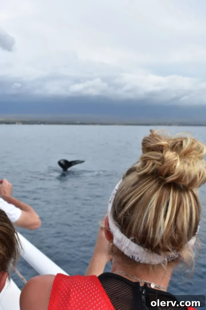 Unforgettable Maui: Your Essential Travel Companion 27 A catamaran sailing on the ocean during a whale watching tour in Maui