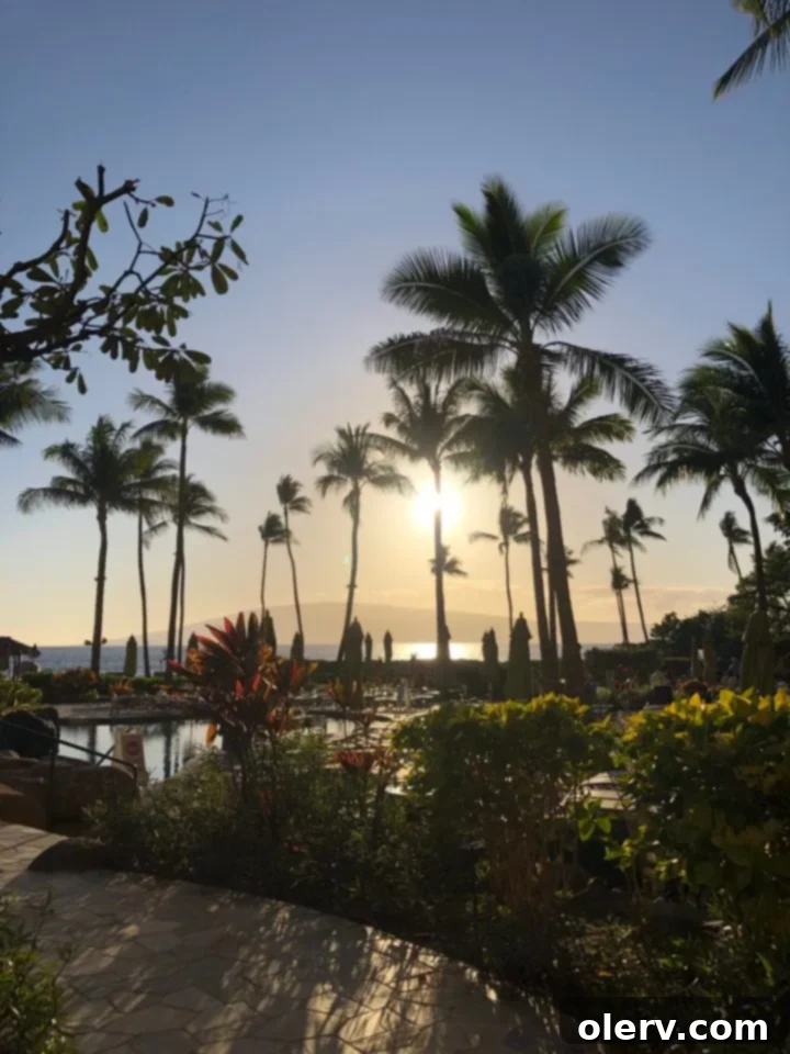 Unforgettable Maui: Your Essential Travel Companion 30 The impressive facade and entrance of the Hyatt Residence Club in Ka'anapali, Maui