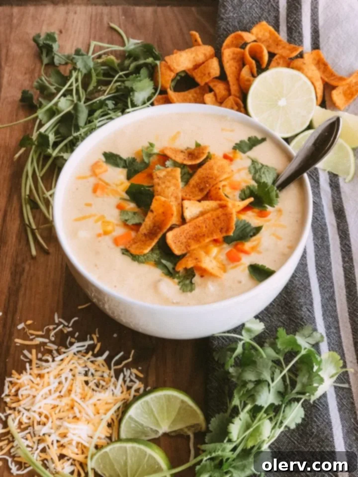 Velvety Cheesy Tortilla Soup 2 Delicious bowl of Cheesy & Creamy Chicken Tortilla Soup garnished with fresh cilantro and tortilla chips.