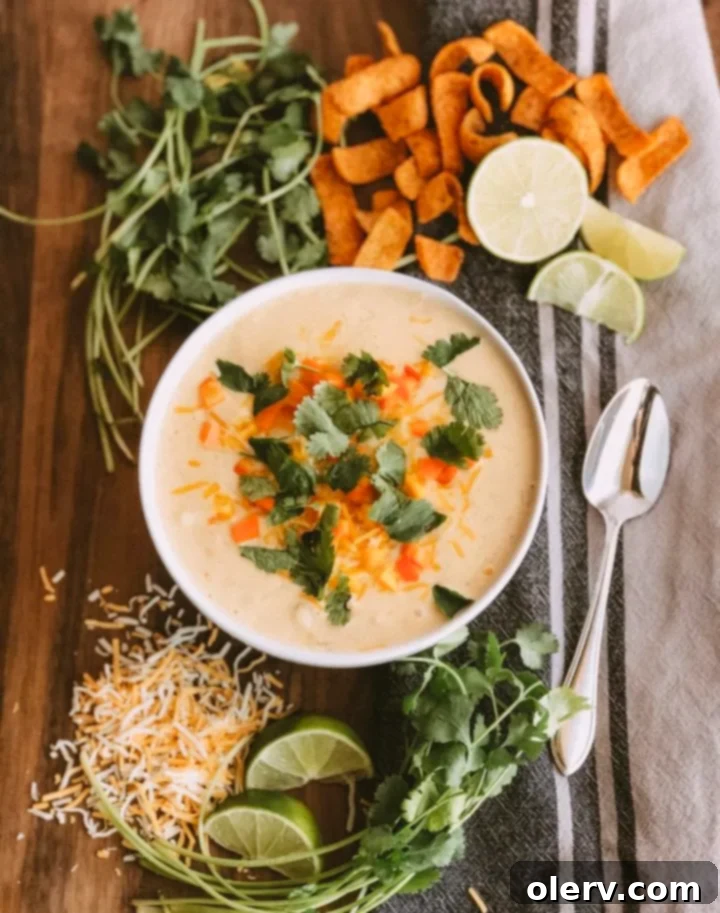 Velvety Cheesy Tortilla Soup 4 Ingredients laid out for Cheesy & Creamy Chicken Tortilla Soup preparation.