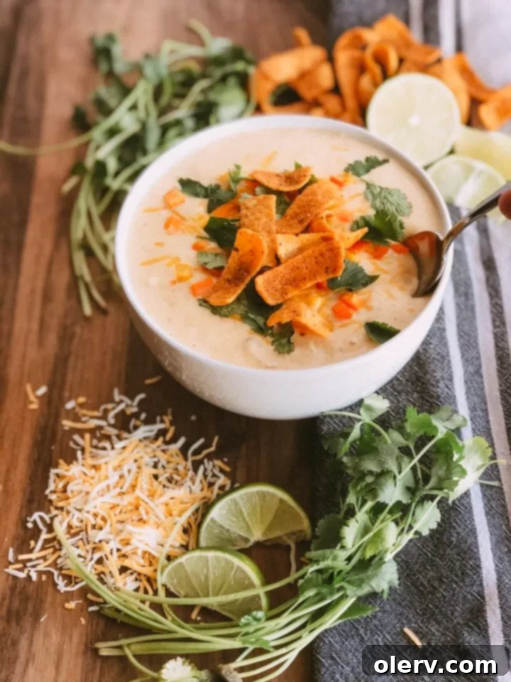 Velvety Cheesy Tortilla Soup 6 A bowl of Cheesy & Creamy Chicken Tortilla Soup with a spoon, ready to eat.