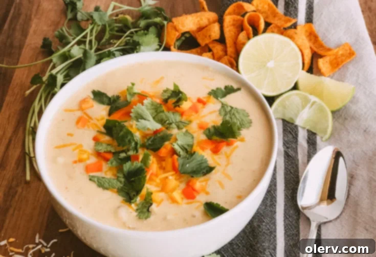 Velvety Cheesy Tortilla Soup 7 A delicious bowl of Cheesy & Creamy Tortilla Soup, ready to be served.
