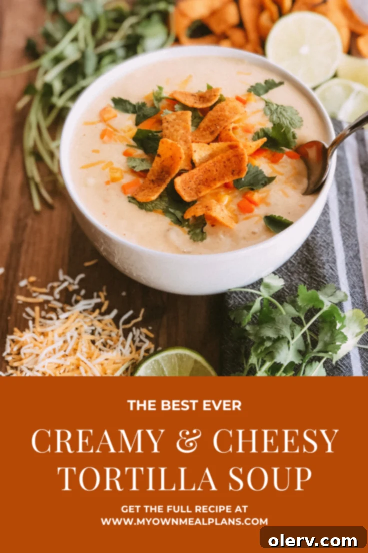 Cheesy & Creamy Chicken Tortilla Soup in a bowl with tortilla chips and cilantro.