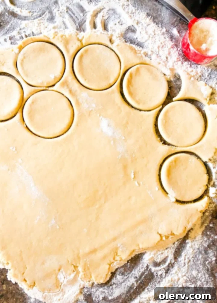 Tender Sour Cream Sugar Cookies 6 Rolled out sour cream sugar cookie dough with various shapes cut out, ready for baking.