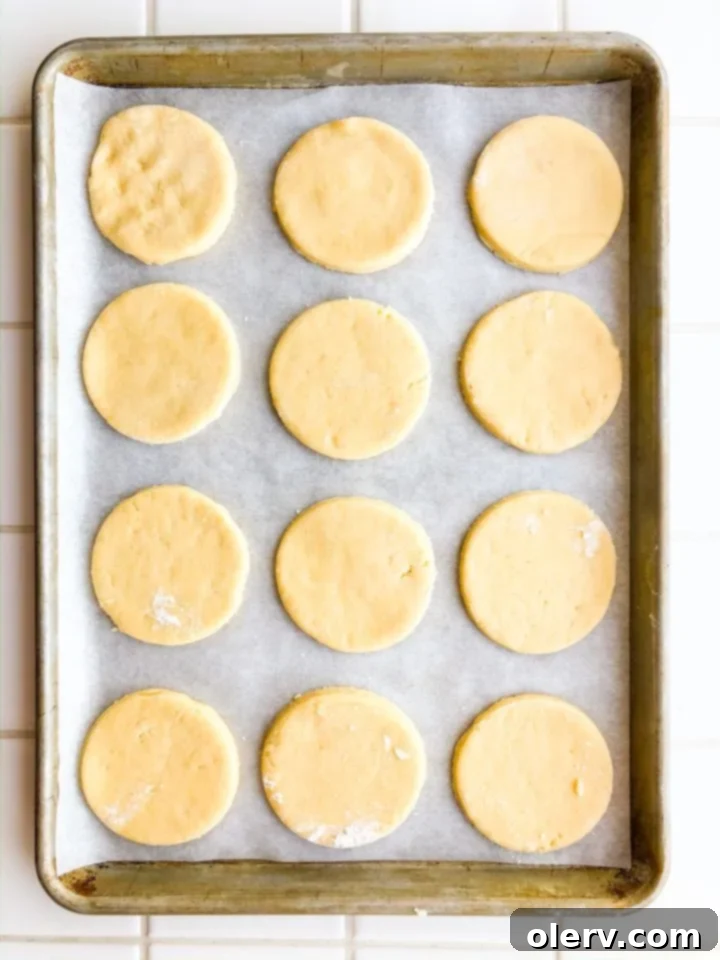 Tender Sour Cream Sugar Cookies 7 Baked sour cream sugar cookies on a parchment-lined baking sheet, golden brown at the edges.