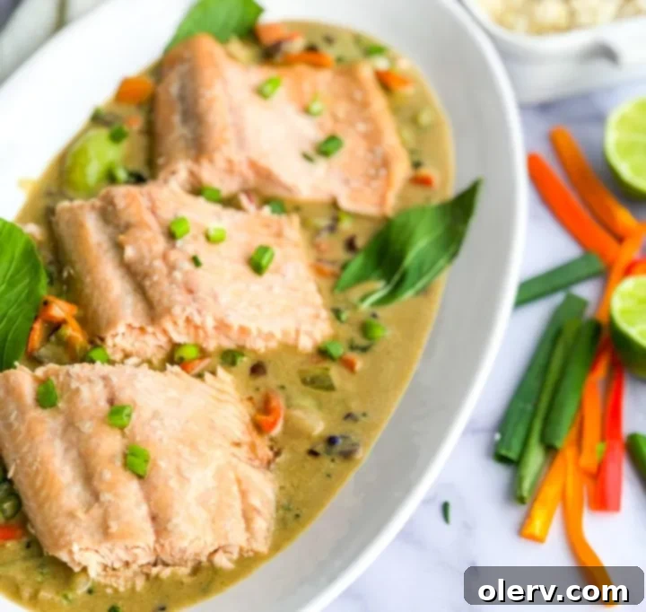 Coconut Green Curry Salmon 4 Ingredients for Coconut Green Curry Salmon spread out on a counter.