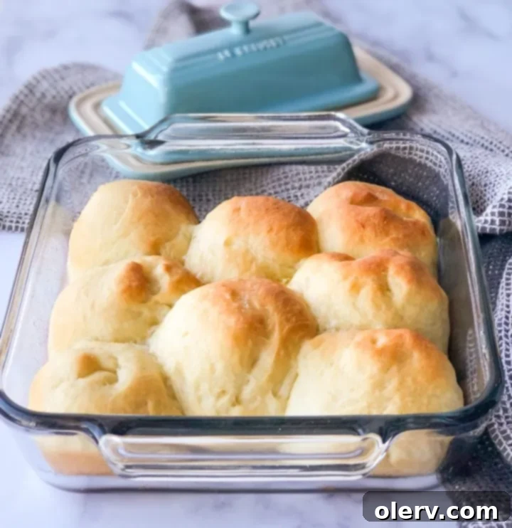 Pillowy Sourdough Dinner Rolls 2 Freshly baked sourdough dinner rolls, golden brown and soft.