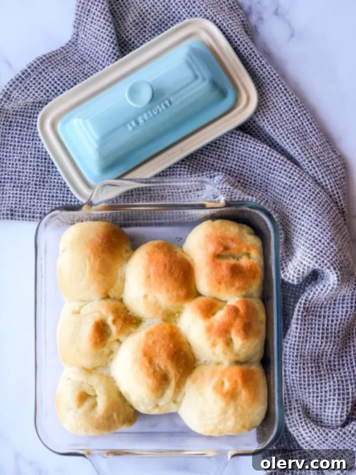 Pillowy Sourdough Dinner Rolls 4 Shaping sourdough dinner rolls on a floured surface.