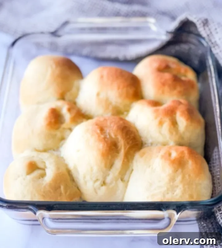 Pillowy Sourdough Dinner Rolls 5 A pan of perfectly baked sourdough dinner rolls.