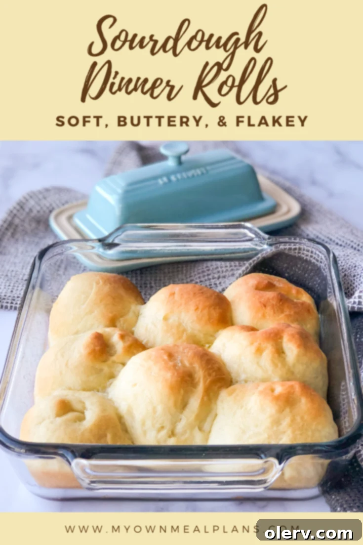 Sourdough Dinner Rolls - a delicious bread recipe