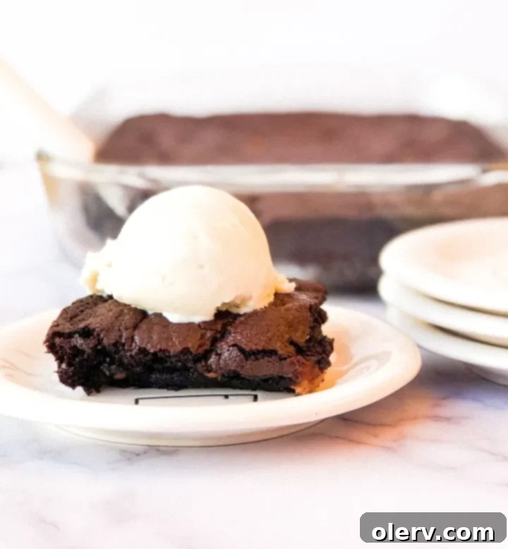 Easy One Bowl Brownies 2 Perfectly baked one-bowl brownies with a shiny, crackly top, ready to be enjoyed.