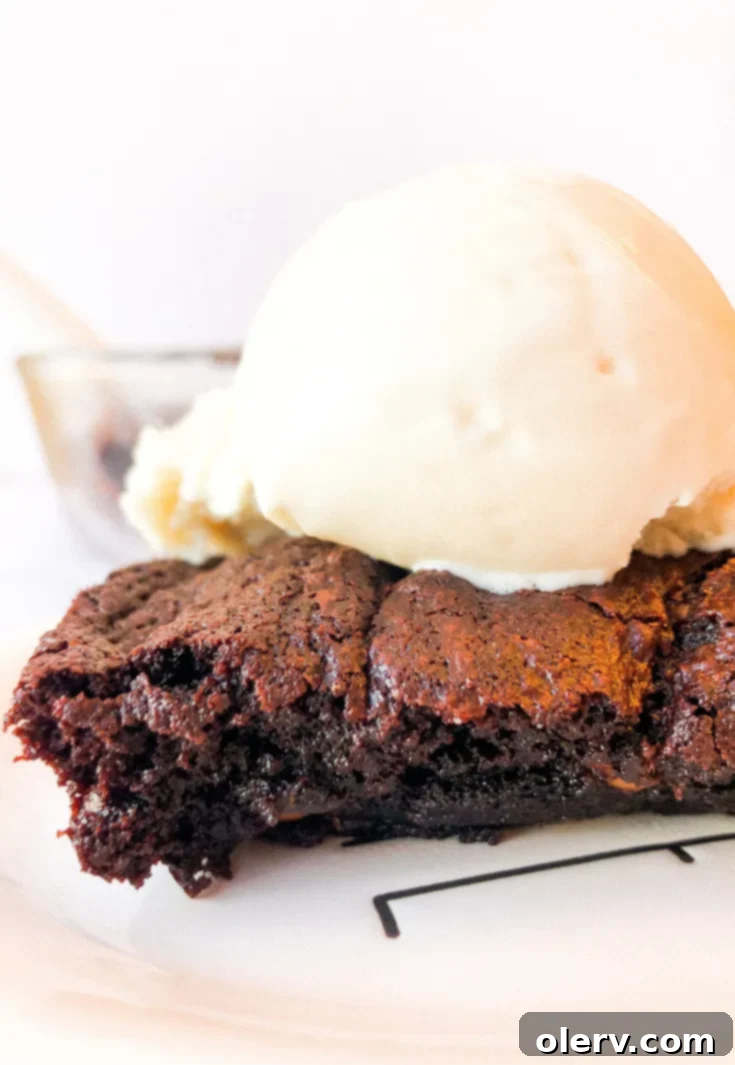 Easy One Bowl Brownies 7 One-Bowl Brownies: a delicious, easy, and fudgy homemade chocolate dessert.