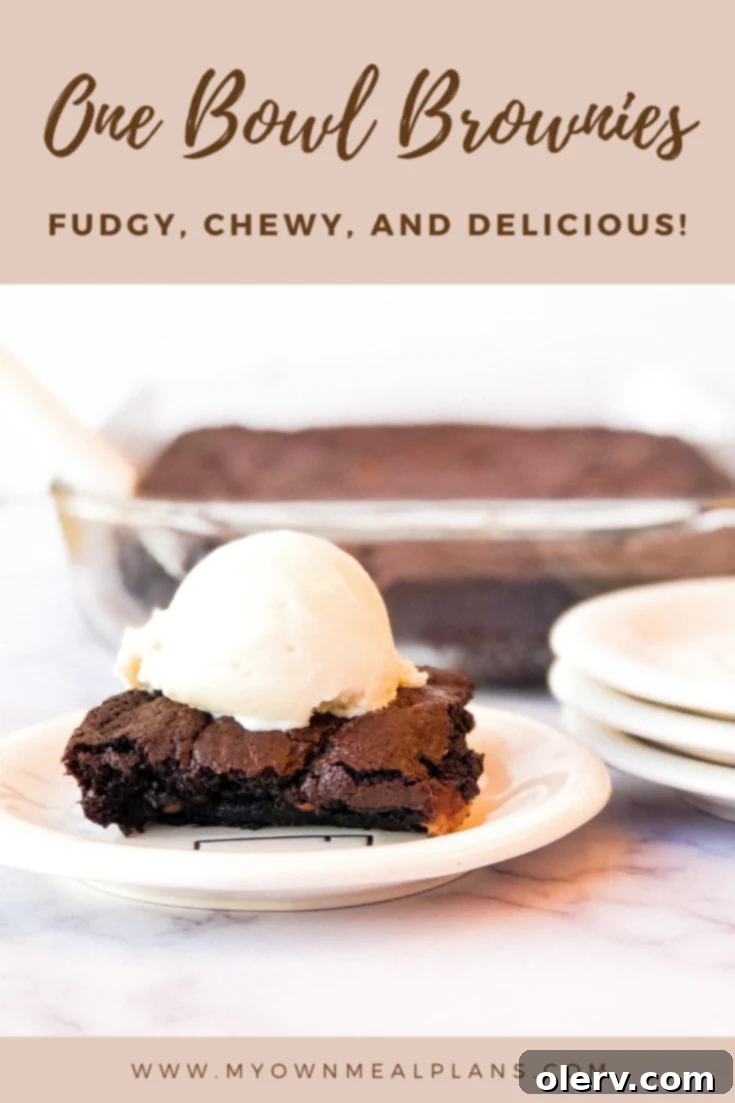 One-Bowl Brownies: a delicious, easy, and fudgy homemade chocolate dessert that's perfect for any occasion.