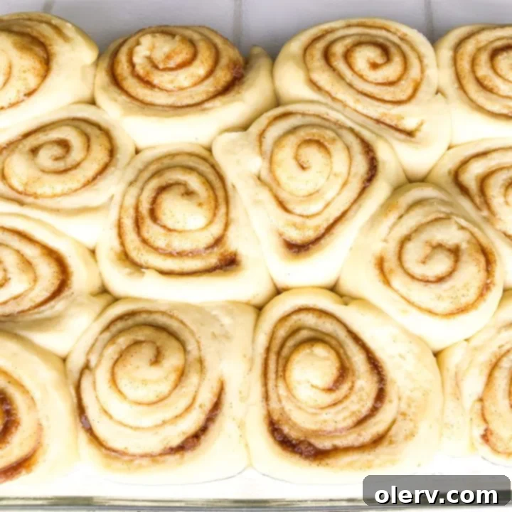 Irresistible Cream Cheese Frosted Cinnamon Rolls 4 Dough resting in a bowl, covered for the first rise