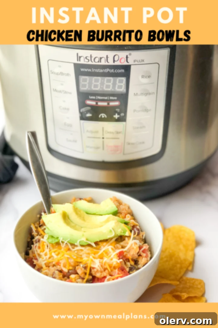 Pinterest graphic for Instant Pot recipe