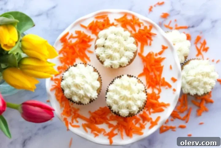 Spiced Carrot Cupcakes with Silky Cream Cheese Frosting 2 Delicious Carrot Cake Cupcakes with a swirl of cream cheese frosting, ready to be enjoyed.