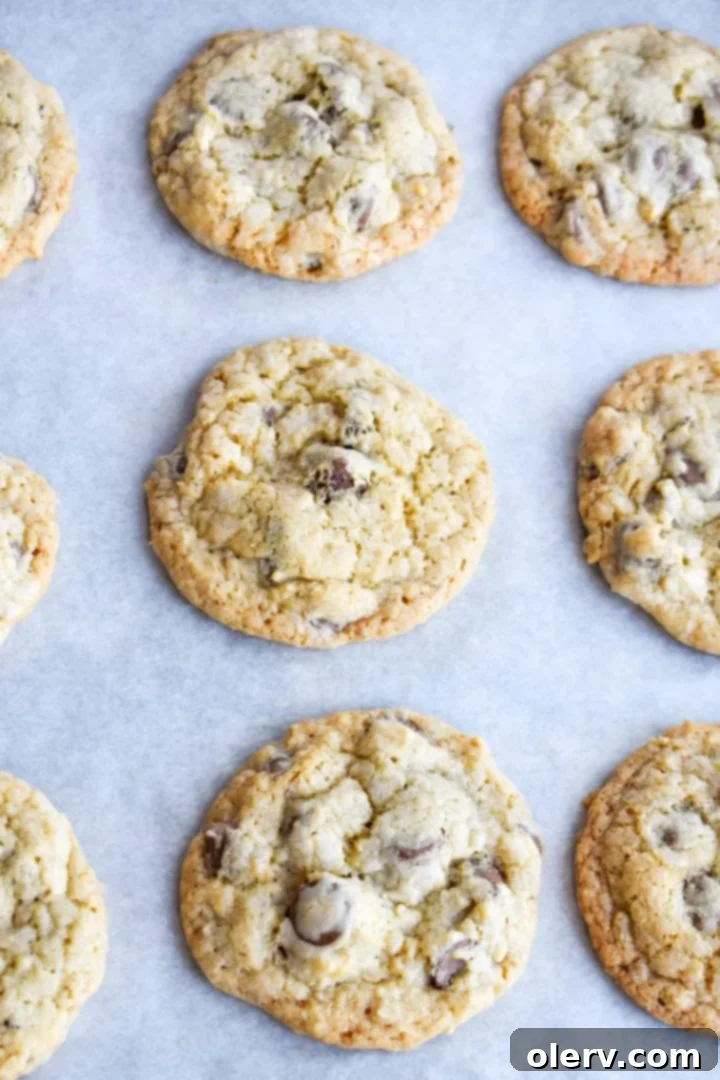 Chewy Oatmeal Chocolate Chip Cookies 7 A perfectly baked crispy oatmeal chocolate chip cookie, broken in half to reveal its crunchy texture and melted chocolate.
