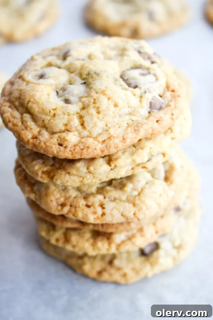 Chewy Oatmeal Chocolate Chip Cookies 9 A large stack of golden brown oatmeal chocolate chip cookies with melted chocolate, ready to be enjoyed.