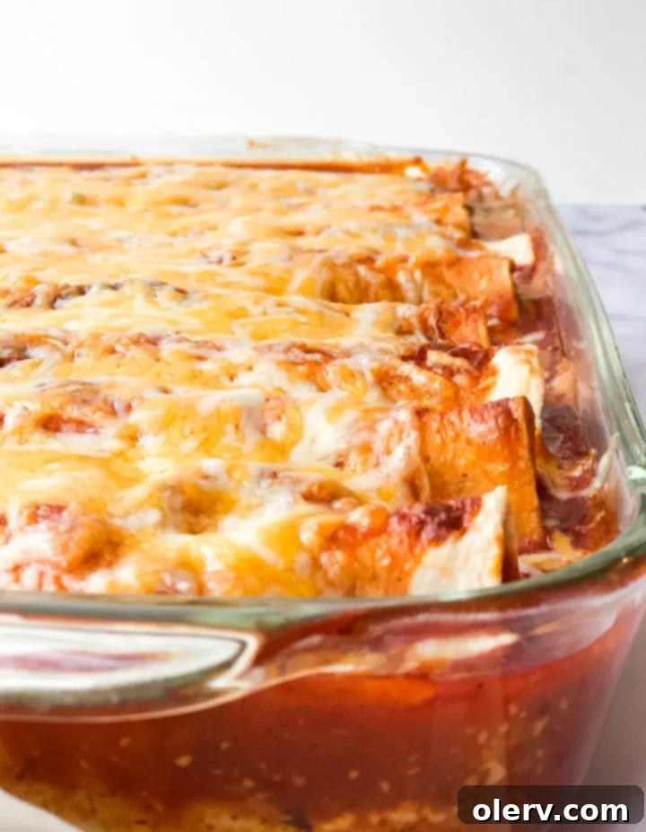 Beef and Bean Enchiladas 3 Close-up of freshly baked Beef & Bean Enchiladas with melted cheese