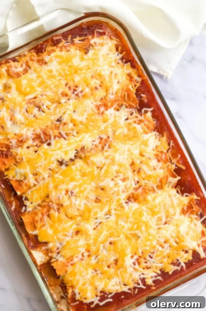 Beef and Bean Enchiladas 4 Ingredients for Beef & Bean Enchiladas laid out