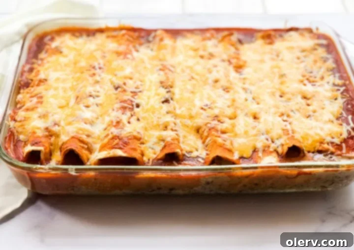 Beef and Bean Enchiladas 6 Baked Beef & Bean Enchiladas fresh from the oven
