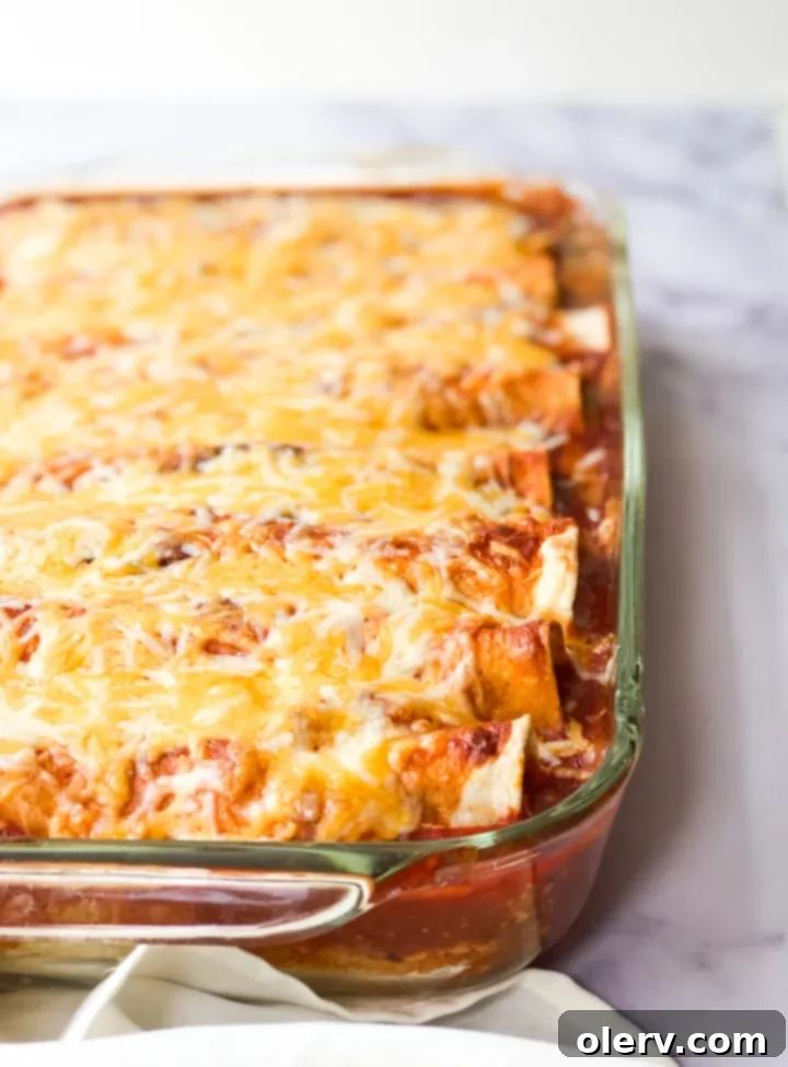 Beef and Bean Enchiladas 8 Hearty Beef & Bean Enchiladas