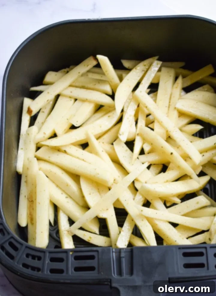 Mouthwatering Seasoned French Fries 9 Crispy seasoned french fries freshly baked in the oven