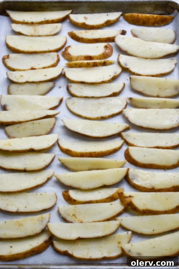 Mouthwatering Seasoned French Fries 10 Golden crispy french fries cooked in an air fryer basket