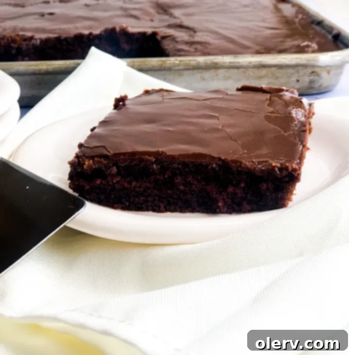 Texas Fudgy Chocolate Slab 3 A close-up view showcasing the incredibly moist and tender crumb of the Chocolate Texas Sheet Cake before the frosting is applied, highlighting its rich texture.