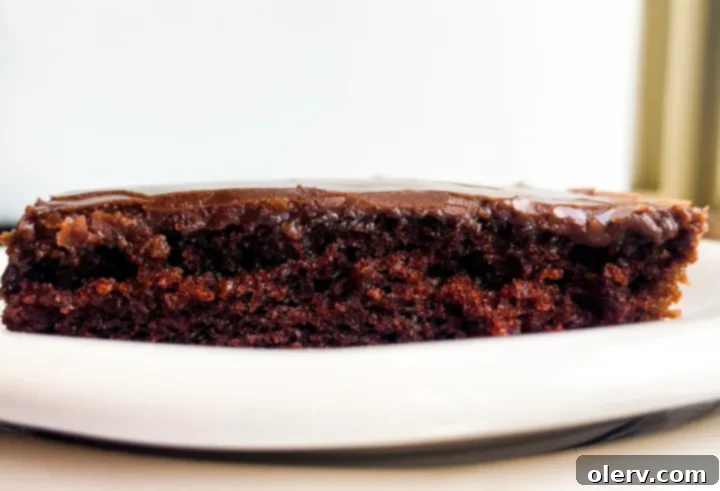 Texas Fudgy Chocolate Slab 6 A generous serving of Chocolate Texas Sheet Cake on a plate, featuring the distinct crackly glaze and moist cake layers.