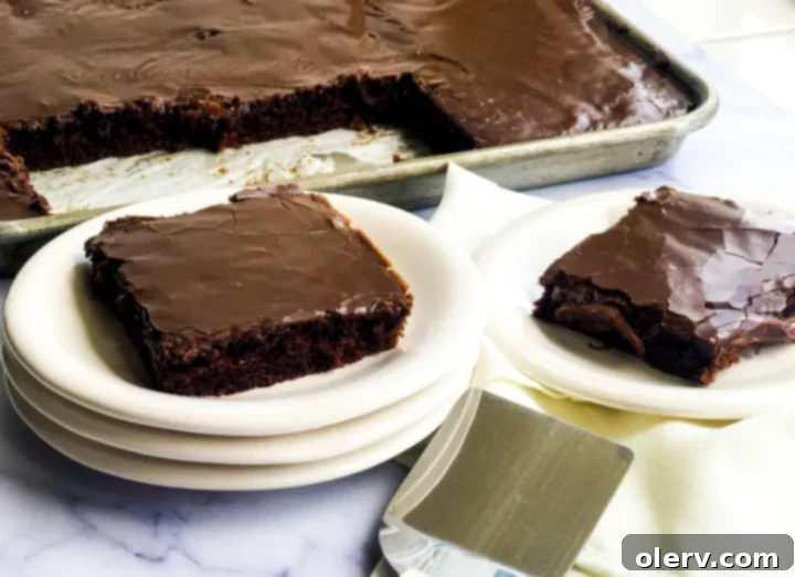 Texas Fudgy Chocolate Slab 7 A large pan of Chocolate Texas Sheet Cake, expertly sliced into squares and ready for serving, showcasing the glossy, set frosting.