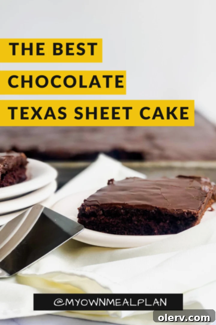 Pin this Chocolate Texas Sheet Cake recipe to Pinterest