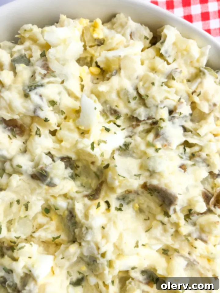 Effortless Instant Pot Potato Salad 6 A close-up of a serving of creamy Instant Pot potato salad, ready to be enjoyed.