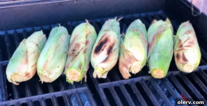 Summer's Golden Grilled Treat 5 Several ears of corn with husks partially peeled back, soaking in a bowl of water.