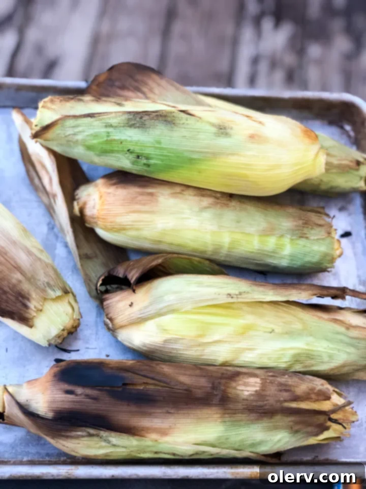 Summer's Golden Grilled Treat 6 Soaked corn on the cob being placed directly onto a hot grill.