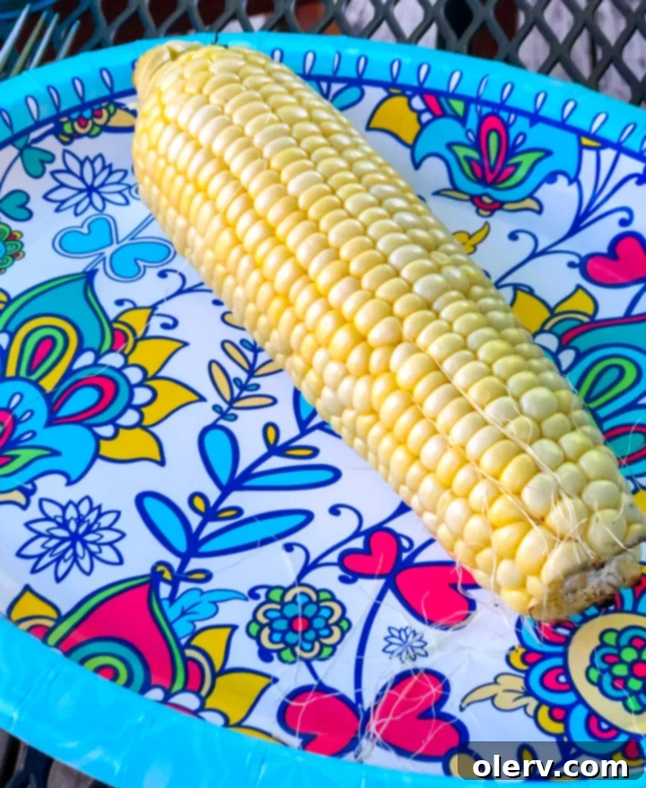 Summer's Golden Grilled Treat 7 Platter of grilled corn on the cob, some with husks pulled back, ready to be served.