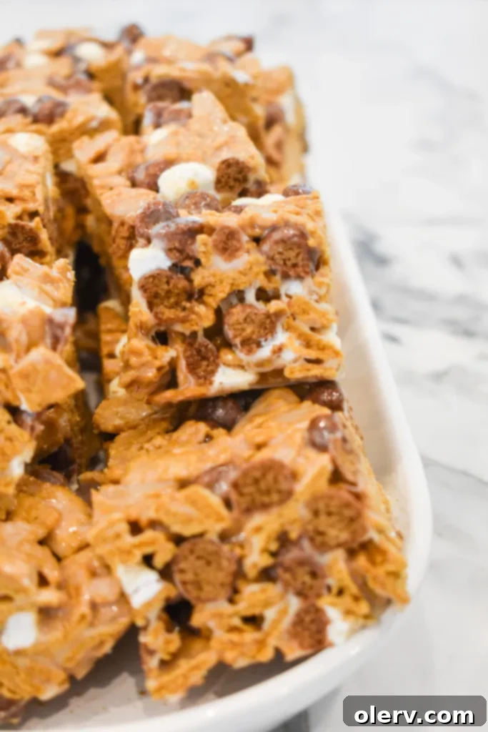 S'mores Cereal Bars 3 Close-up of a hand holding a S'mores Cereal Bar, showing the texture and ingredients clearly.