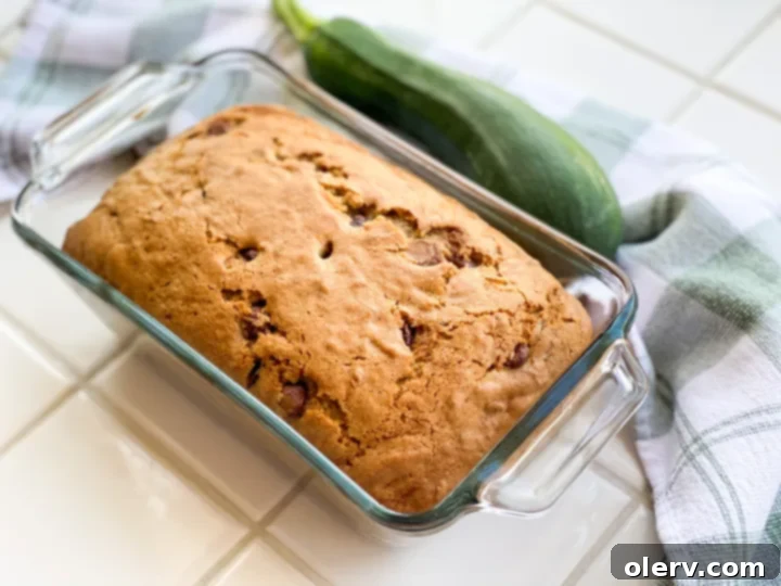 Chocolate Chip Zucchini Bread 2 Freshly baked Chocolate Chip Zucchini Bread loaf, golden brown with visible chocolate chips, sitting on a cooling rack.